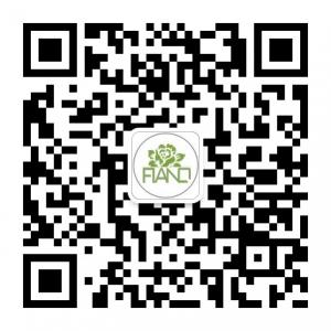 fiano与你说微信公众号