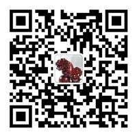 爱生活爱分享微信公众号