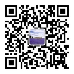 微创有限公司微信公众号