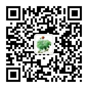 灿宝宝云南三七特微信公众号