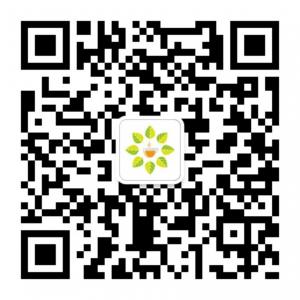 花茶Goodnight微信公众号