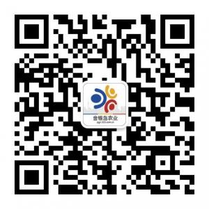 金银岛农业微信公众号