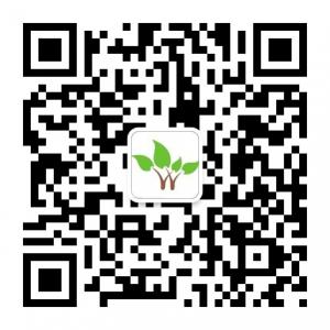 河东区绿秀苗木专微信公众号