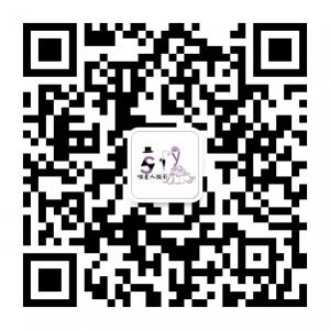 喵星人摄影微信公众号