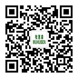 牧惠森男鞋真皮男皮鞋微信公众号