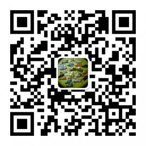 纽巴伦中国微信公众号