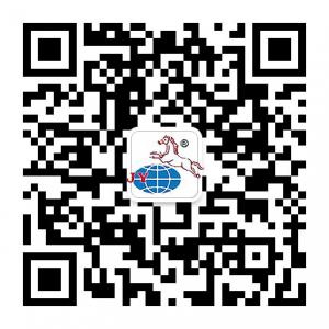 广州番禺骏业宏达微信公众号