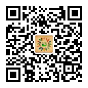 懒女人精选微信公众号