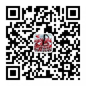 奢侈品s服装h搭配微信公众号