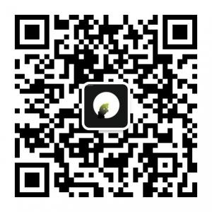大思想的神奇微信公众号