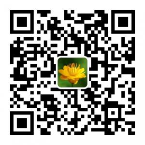 补肾壮阳酒微信公众号