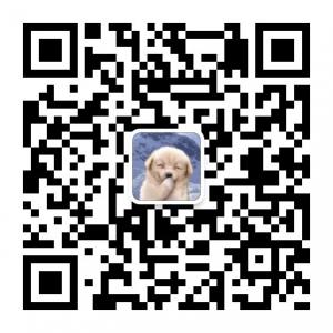 陕北搞笑那点事微信公众号