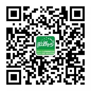 阳光1加1个性化托微信公众号