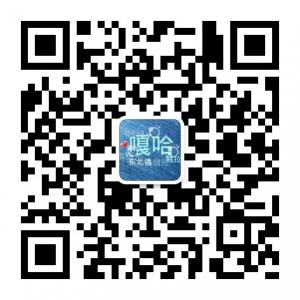 说说东北话微信公众号