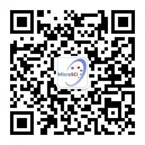 上海丰核信息科技微信公众号