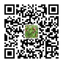 xjqmhz0001微信公众号