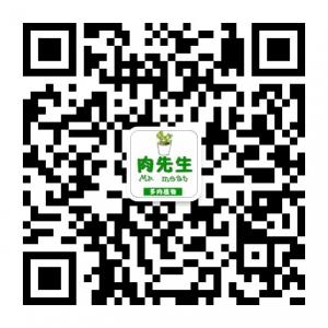 肉先生多肉植物微信公众号