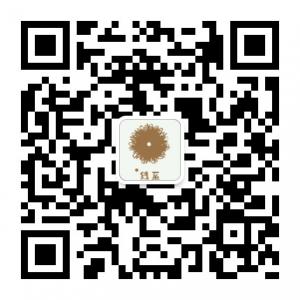 线系服饰旗舰店微信公众号