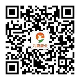 北京九鹿鹿业原生微信公众号