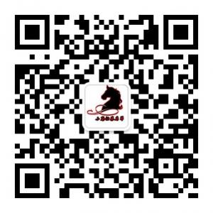 小马股票名单微信公众号