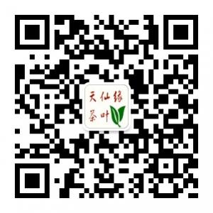 天仙缘茶叶微信公众号