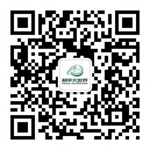 和平大世界家居微信公众号