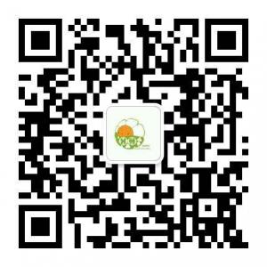 显赫时代教育微信公众号