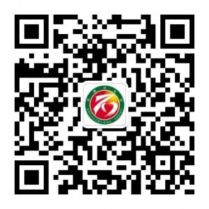 石家庄便民服务中微信公众号
