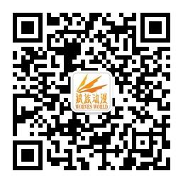 动漫手办周边玩具微信公众号