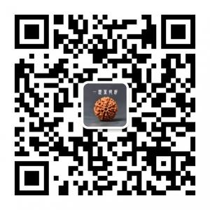 一颗菩提籽微信公众号