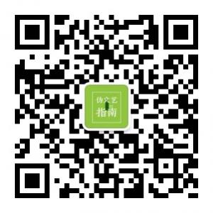 伪文艺指南微信公众号