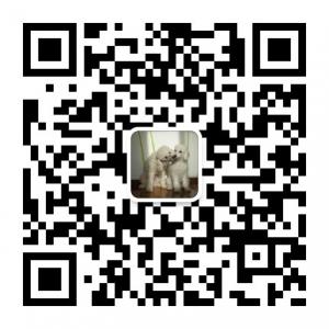 阳光宠物乐园微信公众号