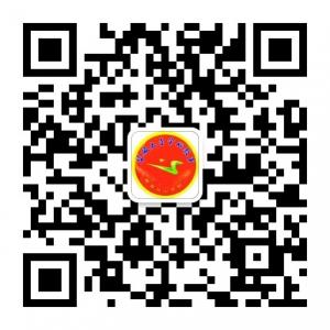 婴幼儿童全脑开发微信公众号