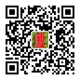 绿色减肥瘦身微信公众号