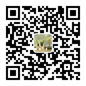 易县信息平台微信公众号