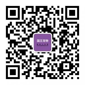 国王宠物摄影工作室微信公众号