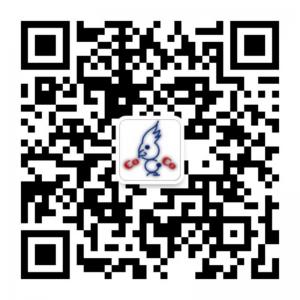 coco澳洲少年儿童英语微信公众号