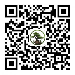 松涛工艺仿真树微信公众号