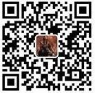 大战神股票俱乐部微信公众号