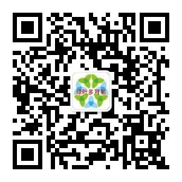 绿叶多可丽全球招微信公众号