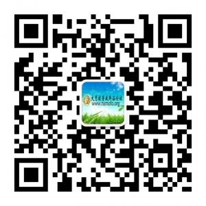 大悲拔苦反邪淫联微信公众号