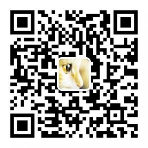 现货行情走势及操作建议微信公众号