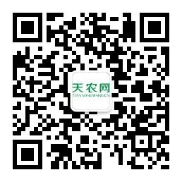 天农网商城微信公众号
