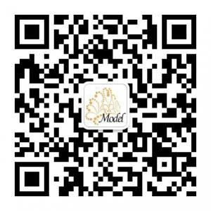 懂帅国际职业模特微信公众号