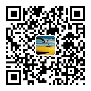 大鹏笑谈财经微信公众号