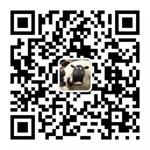 现货新手学习微信公众号