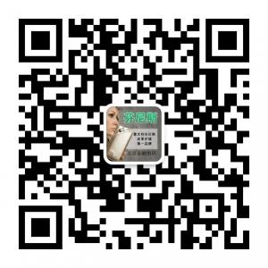 芬尼斯奢侈品皮具微信公众号