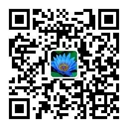 健康集趣地微信公众号