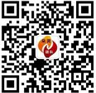 <b>朵灵团队网商俱乐</b>微信公众号