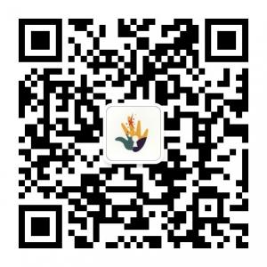 指尖上的故事微信公众号